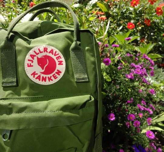 kanken mini leaf green backpack brightside boutique Fjallraven Re-Kanken The Fjallraven Kanken Mini Backpack is a kids backpack for school kanken mini leaf green backpack